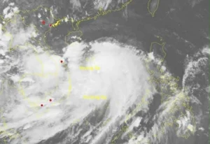 Bão Bualoi di chuyển theo hướng tây với tốc độ 30-35 km/h.